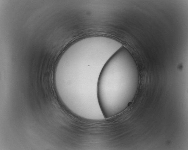 X0000115580700200911100954