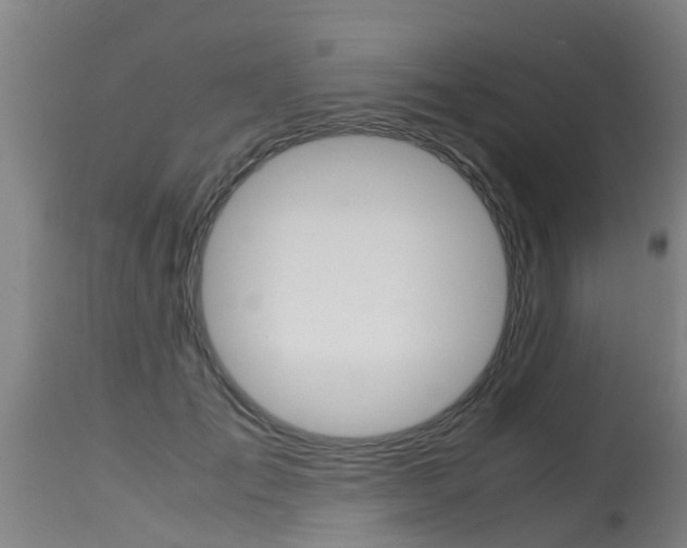 X0000115580701200911100954