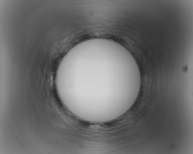 X0000115580703200911100954