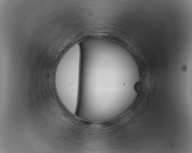 X0000115580704200911100954