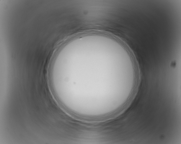 X0000115580705200911100954