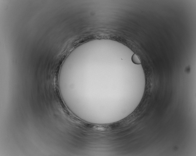 X0000115580706200911100954