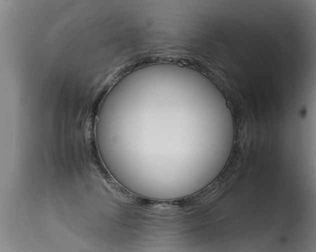 X0000115580708200911100954
