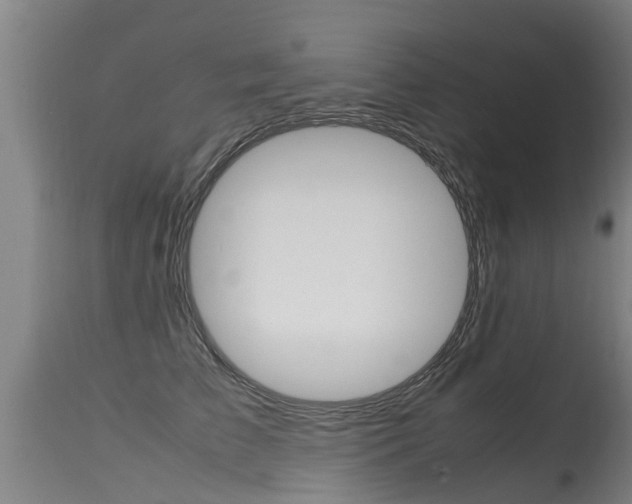 X0000115580709200911100954