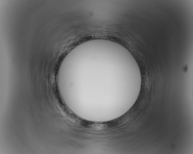 X0000115580711200911100954