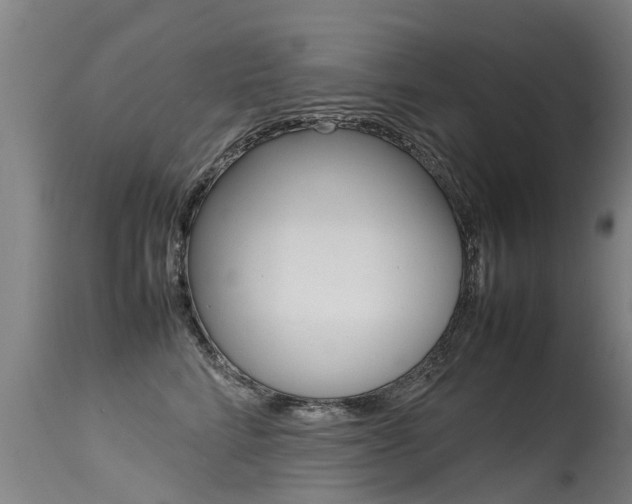X0000115580712200911100954