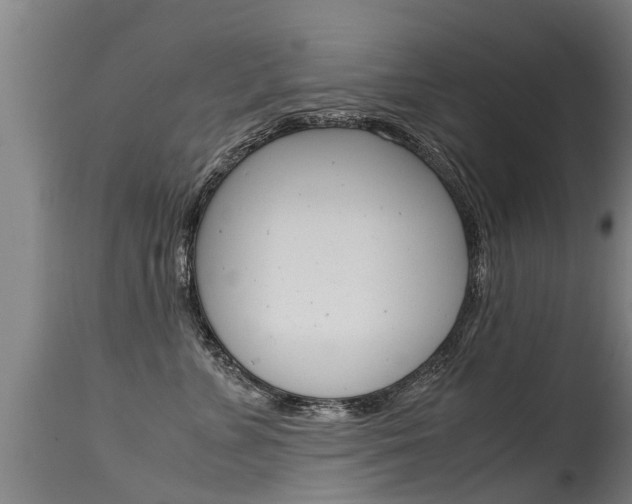 X0000115580715200911100954