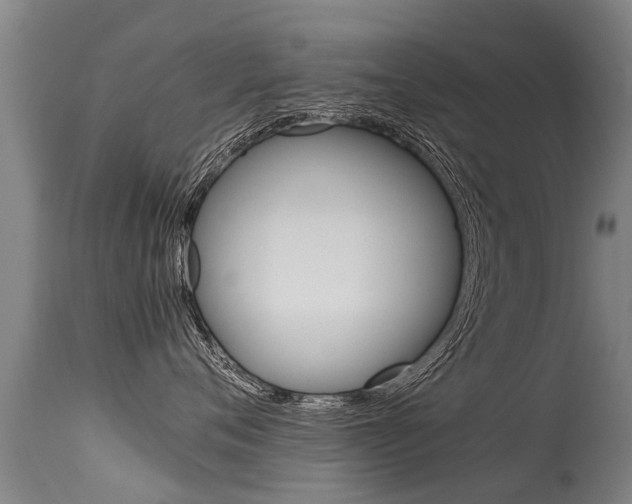 X0000115580720200911100954