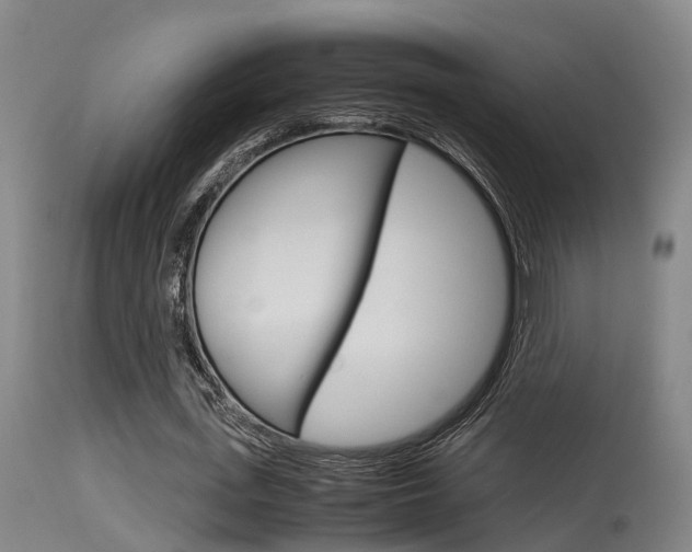 X0000115580723200911100953
