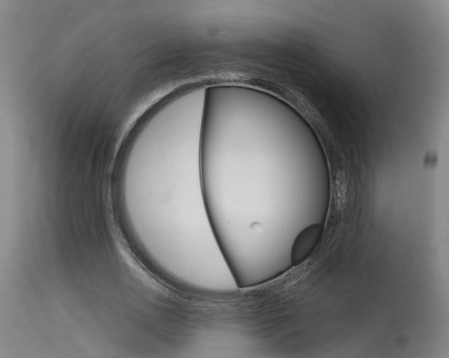 X0000115580726200911100953
