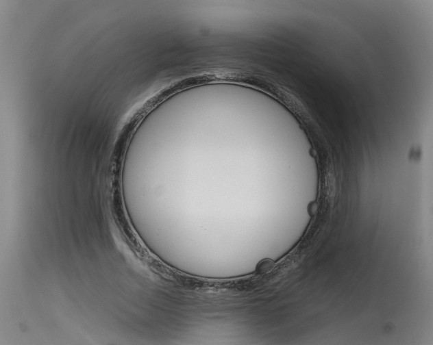 X0000115580730200911100953