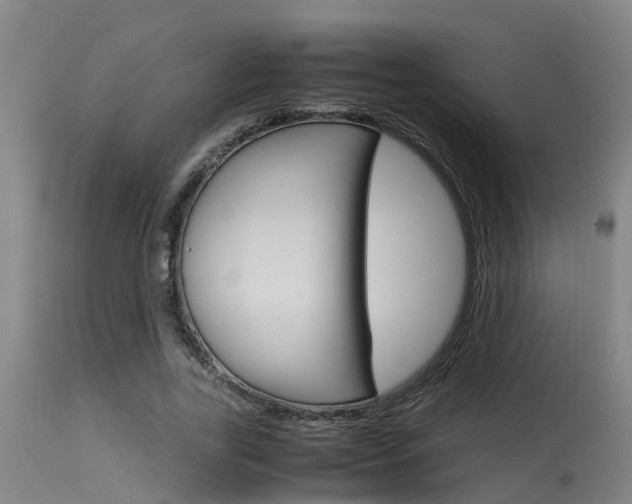 X0000115580731200911100953
