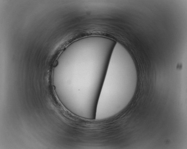 X0000115580735200911100953