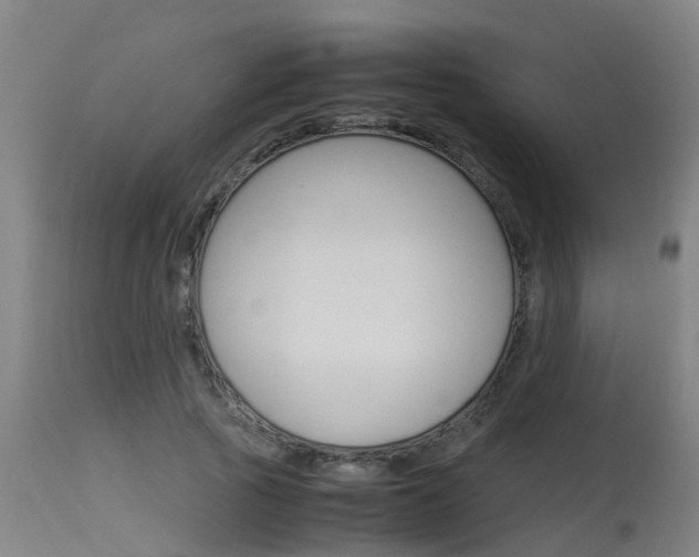 X0000115580737200911100953