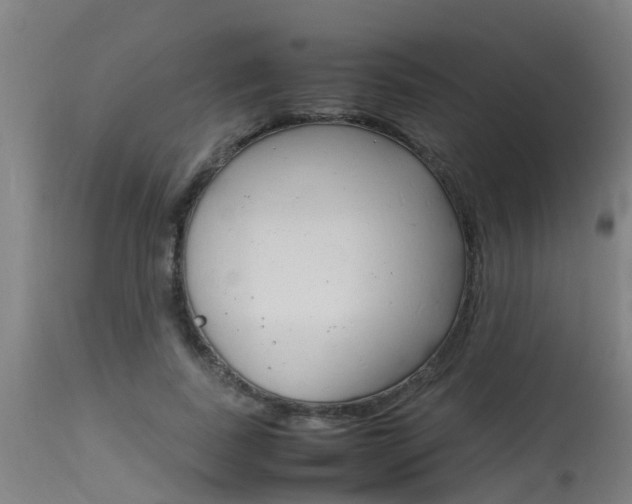X0000115580739200911100953
