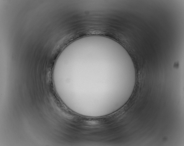 X0000115580741200911100953