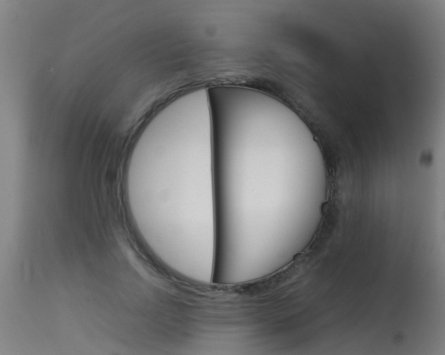X0000115580742200911100953