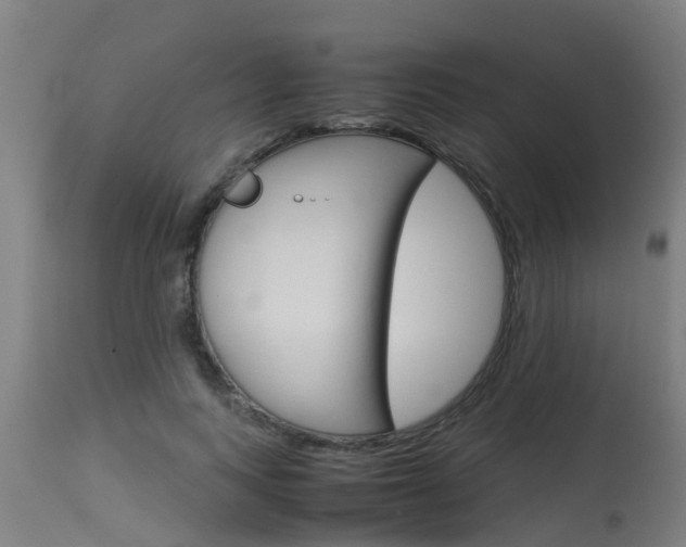 X0000115580743200911100953