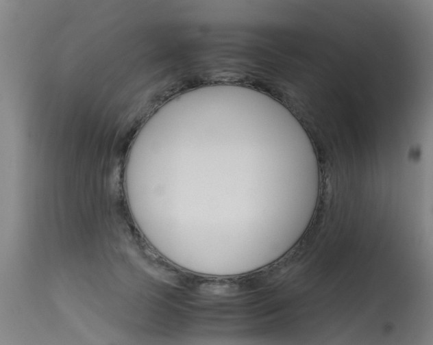 X0000115580745200911100953