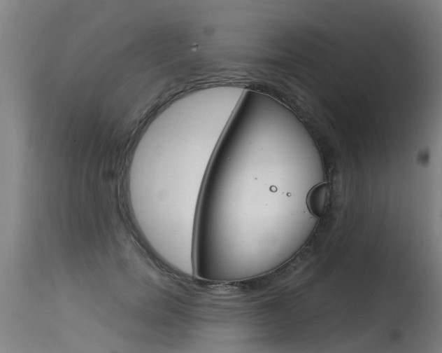 X0000115580750200911100953