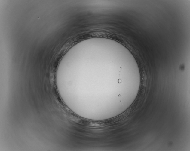 X0000115580753200911100954