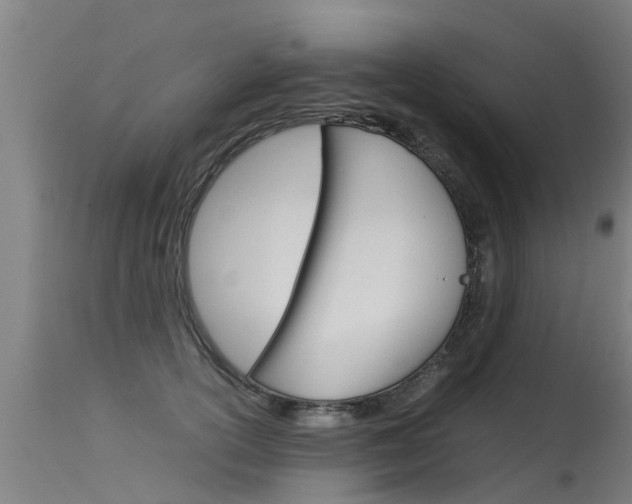 X0000115580754200911100954