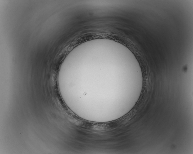 X0000115580757200911100954