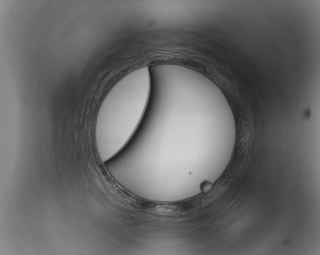 X0000115580758200911100954