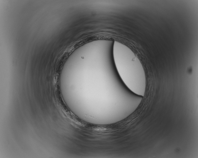 X0000115580759200911100954