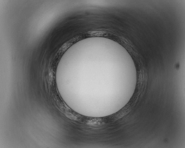 X0000115580761200911100954