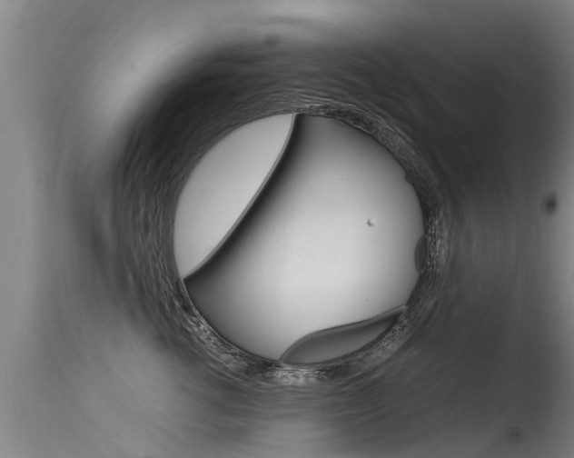 X0000115580762200911100954