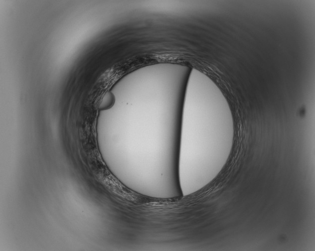 X0000115580763200911100954