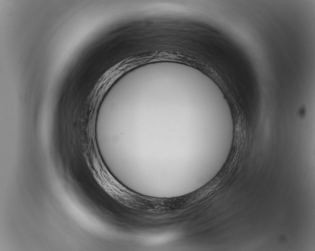 X0000115580765200911100954