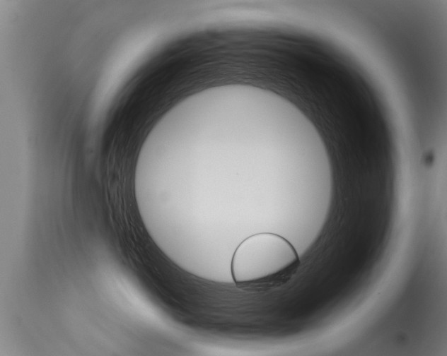 X0000115580766200911100954