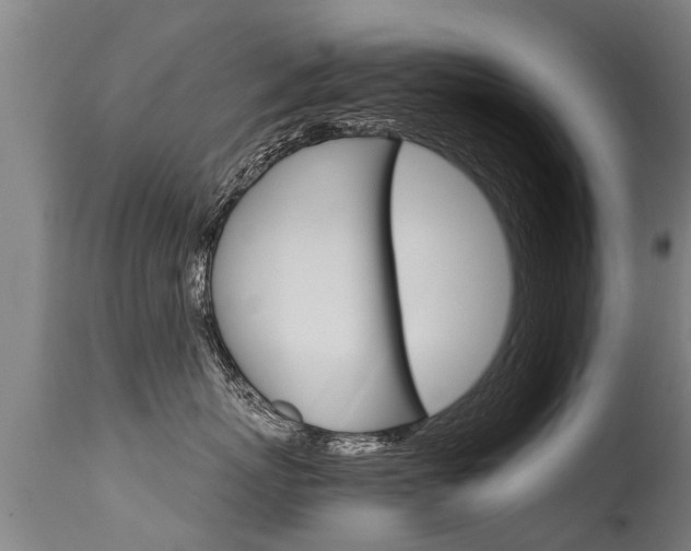 X0000115580767200911100954