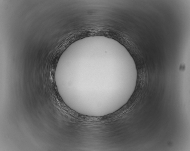 X0000115580770200911100953