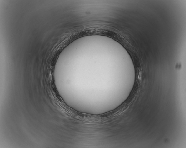 X0000115580771200911100953