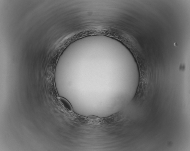 X0000115580773200911100953