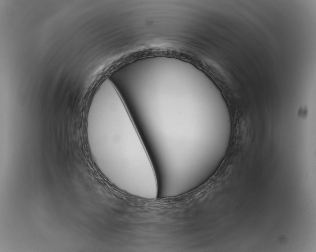 X0000115580776200911100953