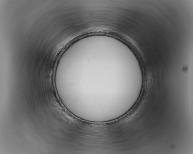 X0000115580778200911100953
