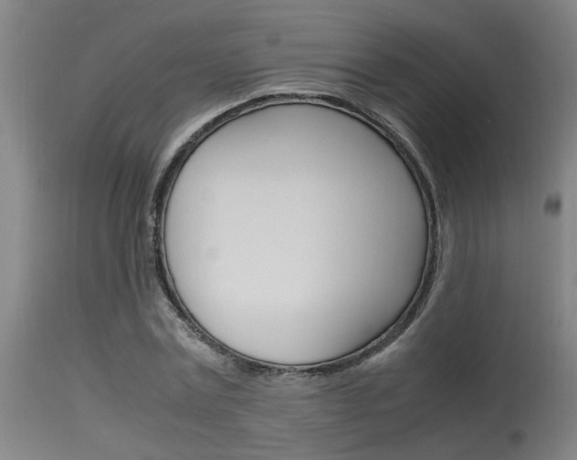 X0000115580779200911100953