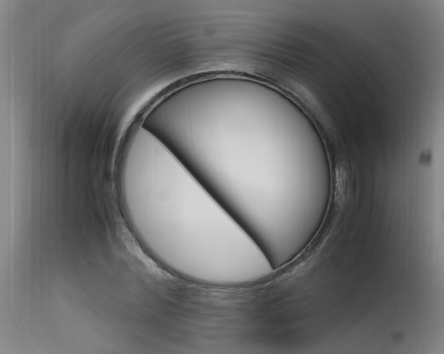 X0000115580780200911100953