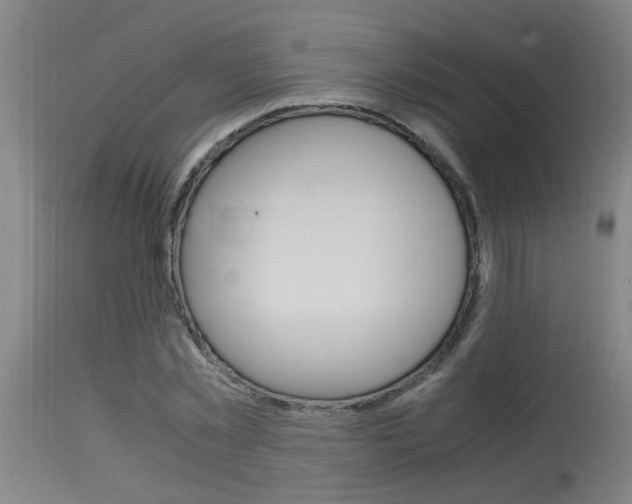 X0000115580781200911100953