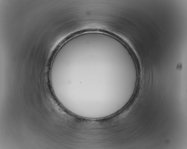 X0000115580783200911100953