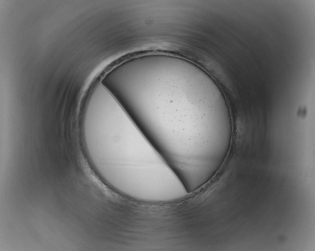 X0000115580784200911100953