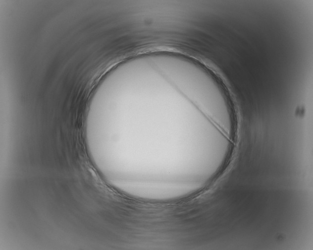 X0000115580785200911100953
