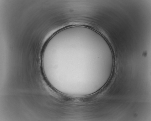 X0000115580787200911100953