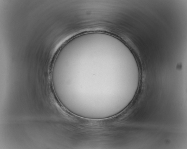 X0000115580789200911100953