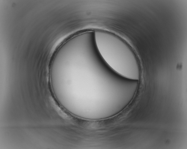 X0000115580791200911100953