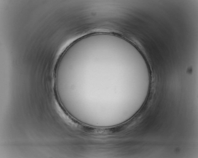 X0000115580795200911100953